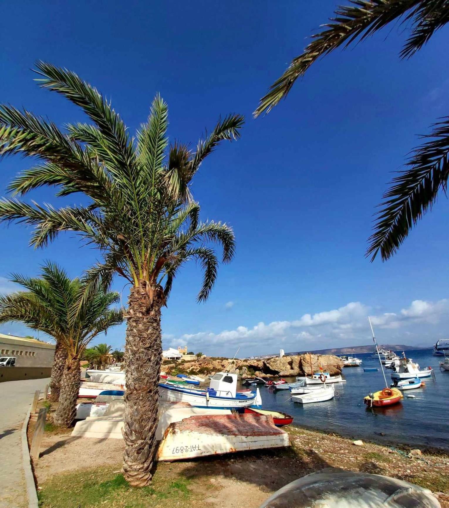 Apartament Alexandro'S Apartment Torrevieja Bagian luar foto
